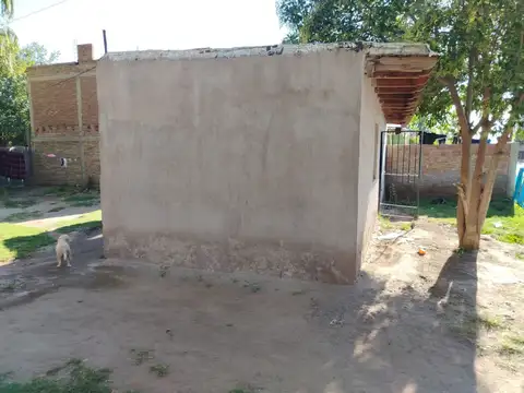 PATRICIAS MENDOCINAS 200