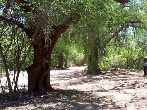 Terreno en Venta 50  mts Fondo