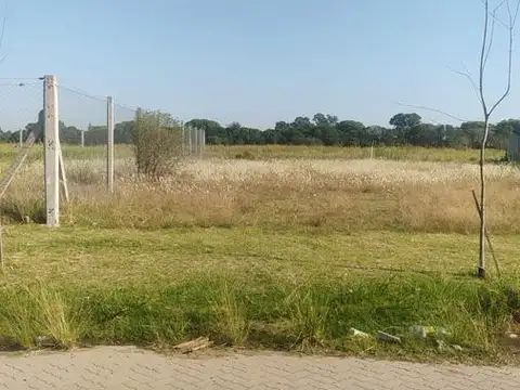 Terreno en Venta 36  mts Fondo