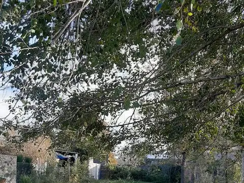 Terreno en Andino