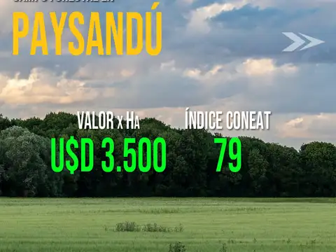 Campo en venta en Pueblo Morató, Paysandú