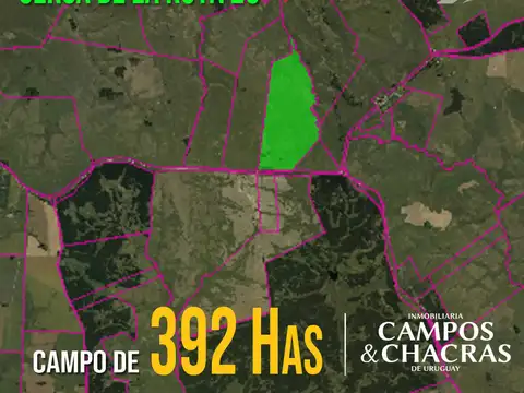 Cercanías a ruta 20