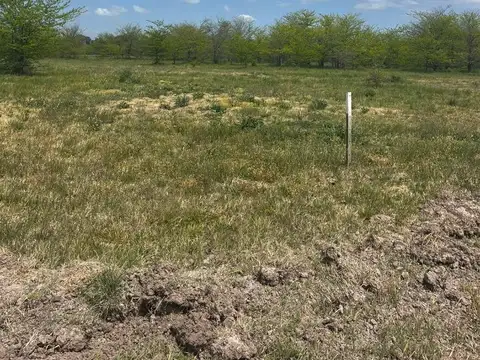 Terreno en Venta en Cañuelas, USD 60.000