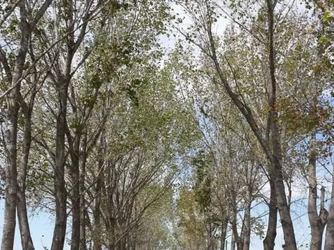 Terreno en Venta en La Alameda, USD 62.000