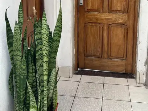 Depto Tipo Casa 4 ambientes con 1 baño