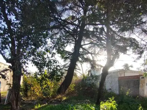 Presidente Ortiz 3583 Entre Gabriel Miro Y Willian Morris