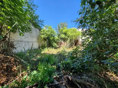 Terreno en Venta de 290,0 m2