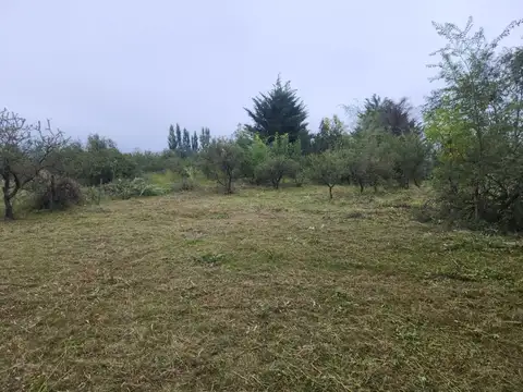 TERRENO UBICADO A 400 METROS DEL LAGO, LOS ESPINILLOS, POTRERO DE GARAY