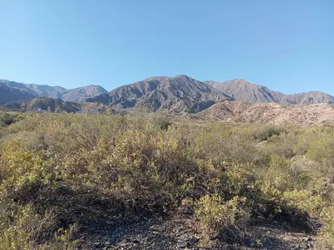 Terreno en Venta de 2000,0 m2