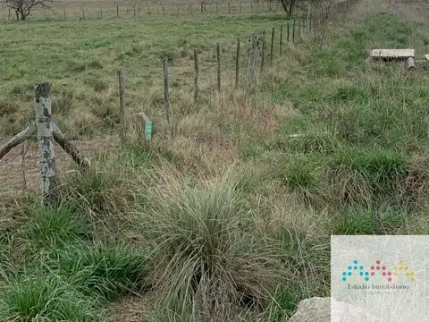 LOTES sobre la ruta en Domselaar