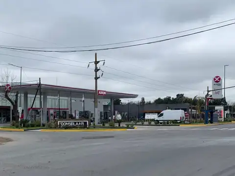 LOTES sobre la ruta en Domselaar