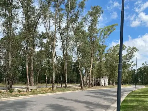 Lote 268 m2 nuevo malagueño oportunidad