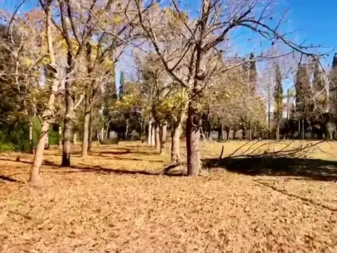 Terreno en Venta de 26180,0 m2