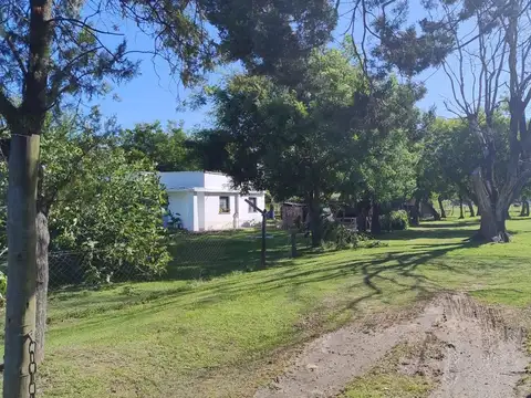 San Isidro y Florencio Parravicini