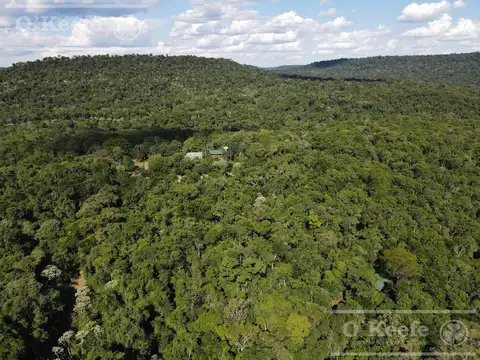Venta 9058 Has Salta Bosques nativos Ideal Bonos verdes