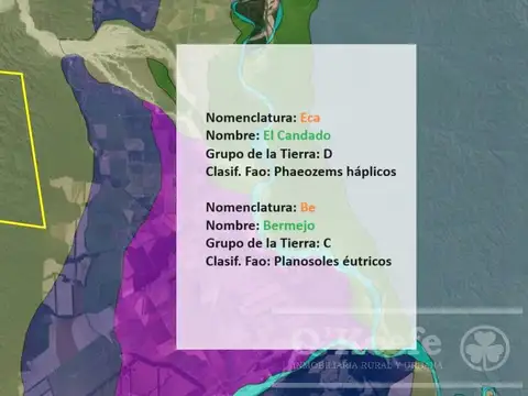 Venta 9058 Has Salta Bosques nativos Ideal Bonos verdes