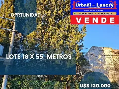 Lote 18 x 55 sobre Av R. Lopez