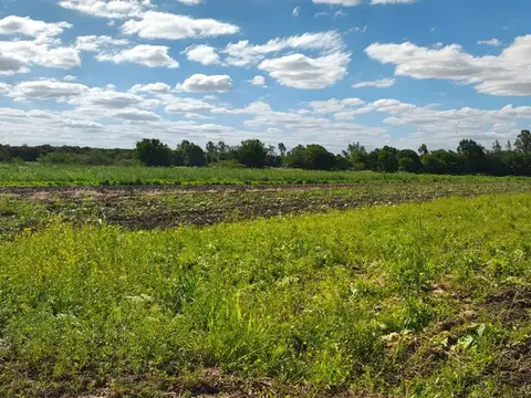 Terreno en Venta de 50002,0 m2