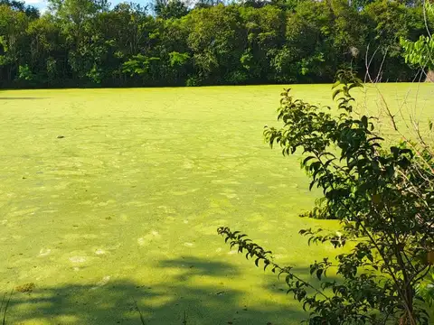 Venta campo 5 hectareas Villa Retiro