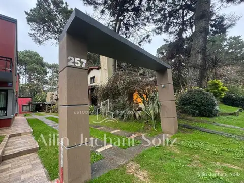 las camelias  al 257