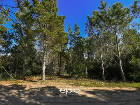 Terreno en Venta de 1011,0 m2