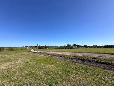 Terreno en Venta de 2000,0 m2