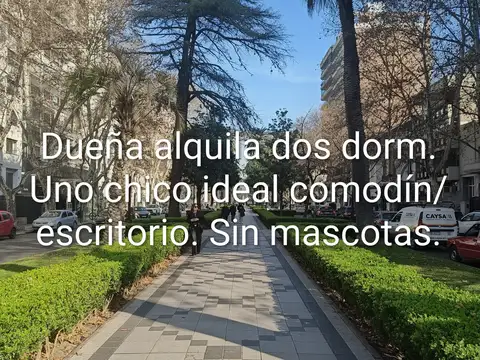 Departamento en Alquiler de 3 ambientes