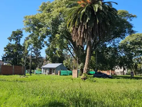 Lagar 700