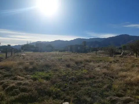 Terreno en Venta de 991,0 m2