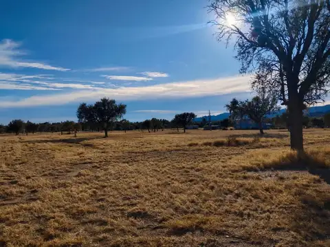 Loteo Finca del Dique- Lujan San Luis 