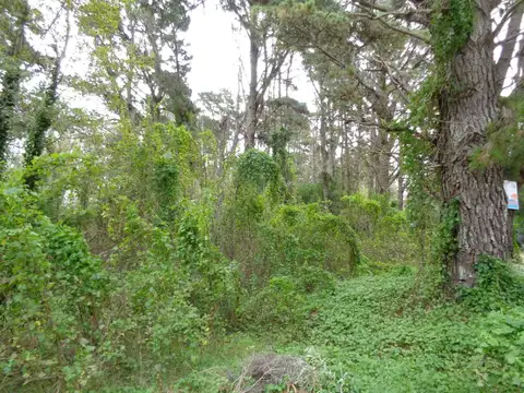 Terreno en Venta en Mar Azul, USD 52.000