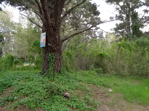 35 Esquina Viña del Mar