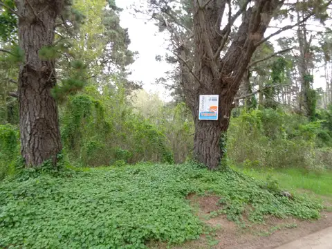 Lote Unifamiliar (L140)