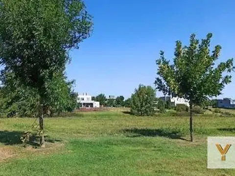 El Cazal