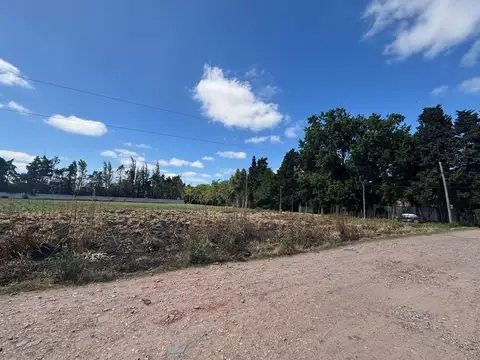 MANUEL SAVIO Y DIARIO LA PRENSA LOMAS VERDES