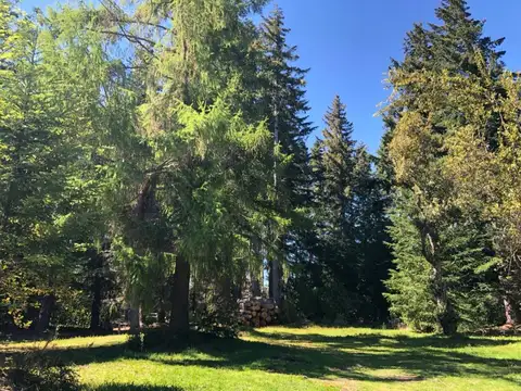 Terreno en Venta de 2933,0 m2