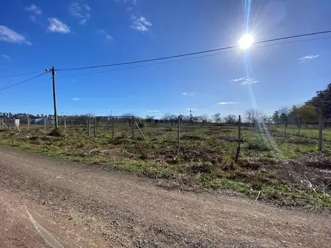 Terreno en Venta de 600,0 m2