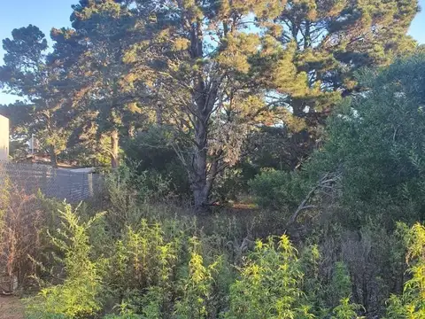 Terreno en Venta, FOS 0,6