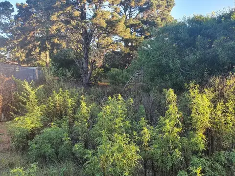 Terreno en Venta en Villa Gesell, USD 18.000