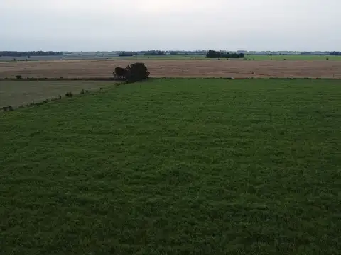 Campo de 5 hectáreas en venta en Villa Lía - San Antonio de Areco