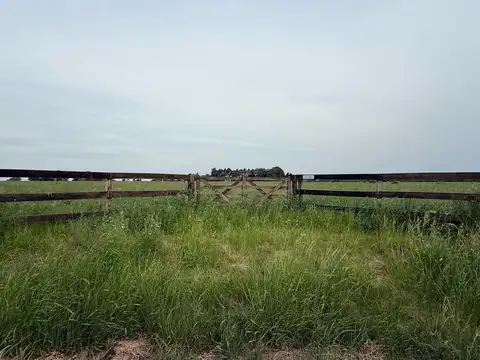 Campo de 5 hectáreas en venta en Villa Lía - San Antonio de Areco