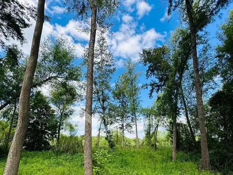 Terreno en Venta en Dique Lujan, USD 8.000