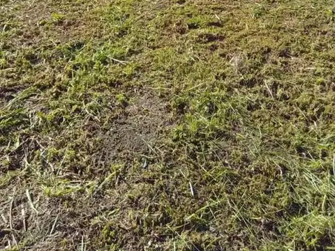Terreno en Venta en Dique Lujan, USD 8.000