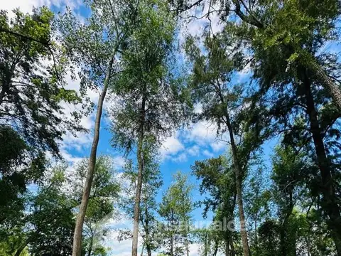 Terreno en Venta de 1600,0 m2