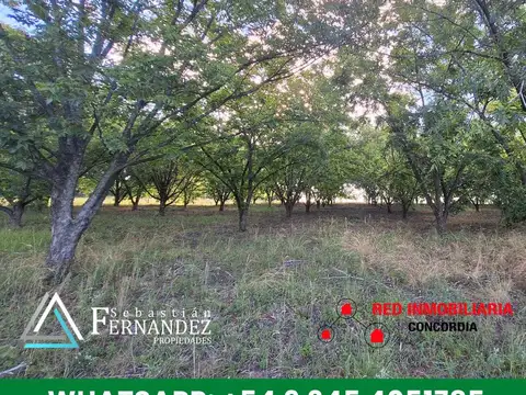 Campo en Venta de 50  ha