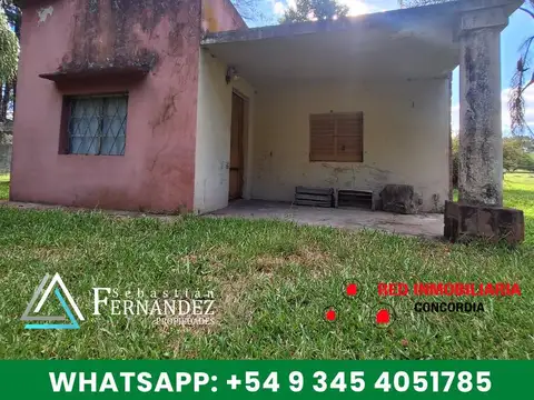 Campo en Venta Forestal