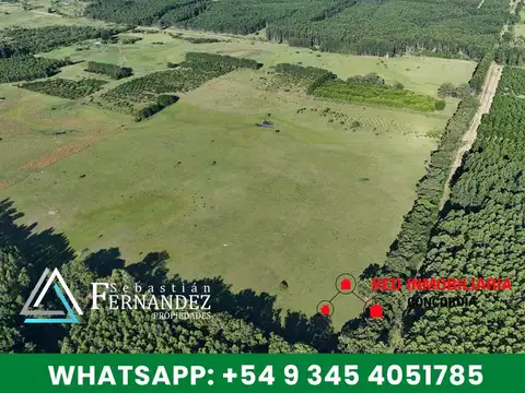 Puerto Yerua