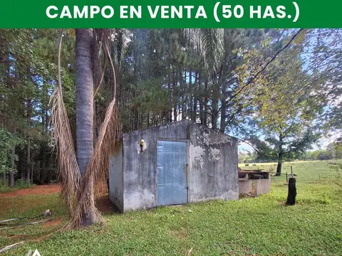 50 HAS. OPTIMAS P/FORESTACIÓN Y/O PECÁN CERCA DE ASFALTO