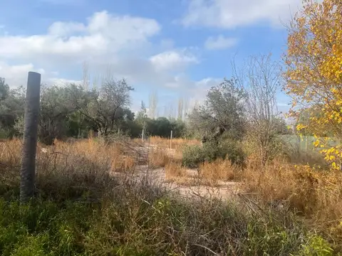 Terreno en Venta de 920,0 m2
