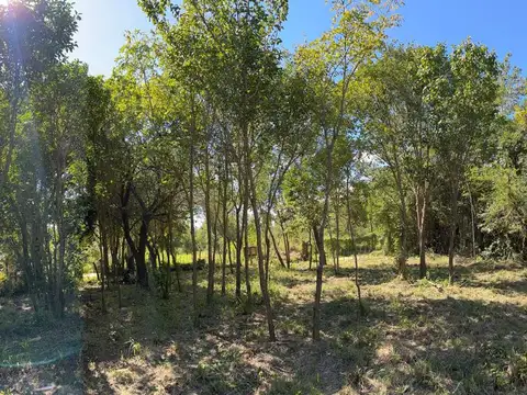 Terreno en Venta de 1540,0 m2